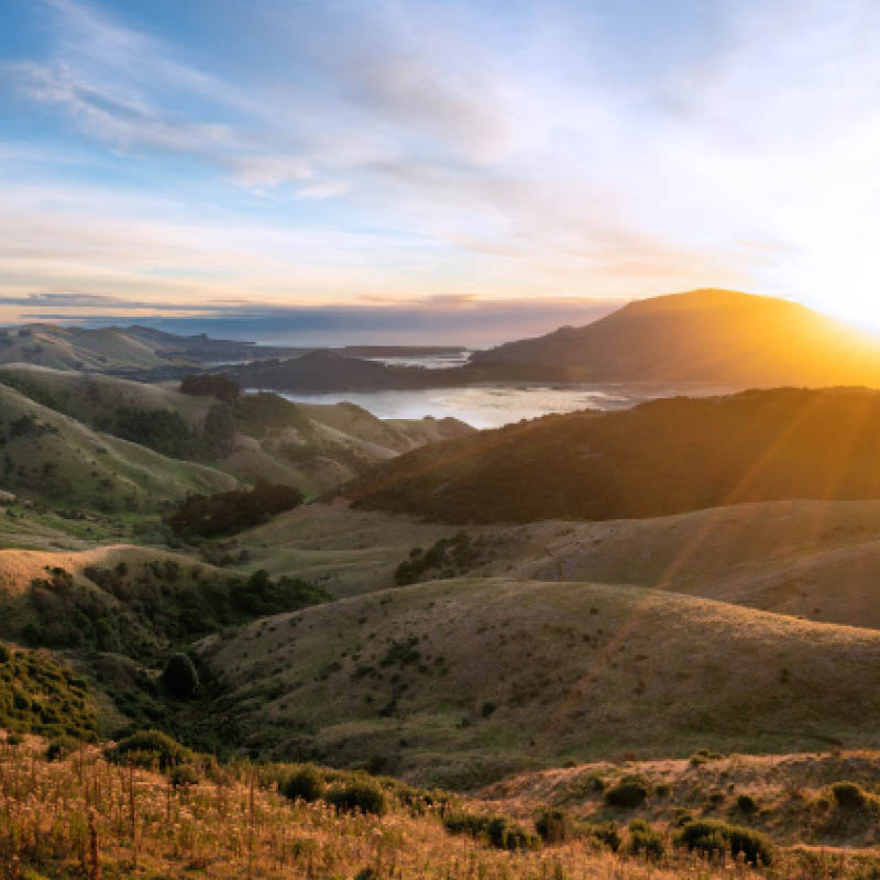 New Zealand Painting Workshop with Amanda Hyatt