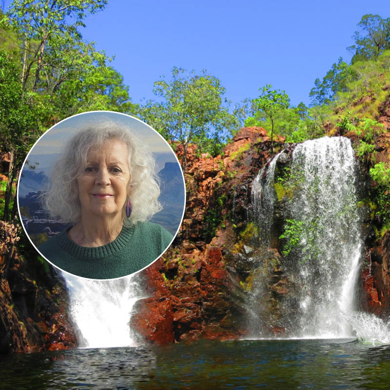 Robyn Collier QLD Painting Workshop