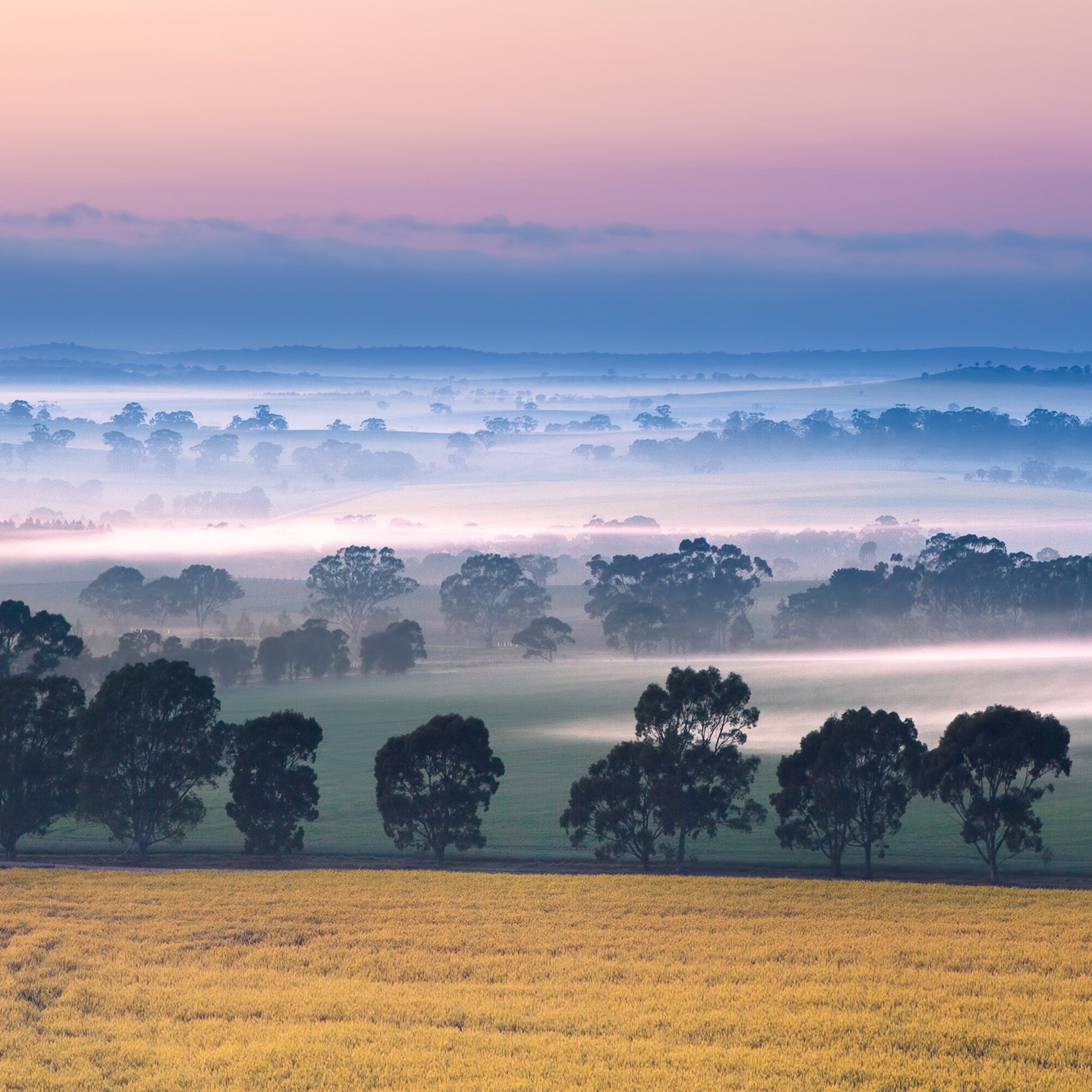 Flinders Ranges, Clare Valley
and Hahndorf with Annee Kelly
