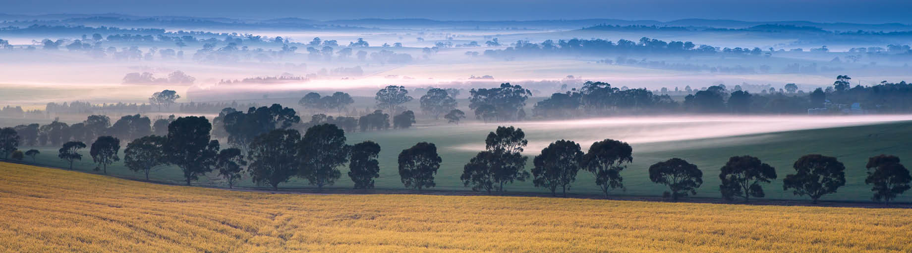 Flinders Ranges, Clare Valley
and Hahndorf with Annee Kelly