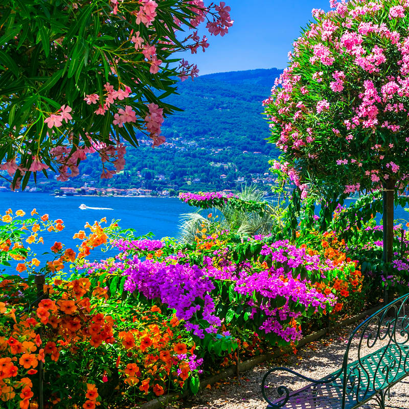 Cinque Terre and Lake Maggiore Painting Workshop with Annee Kelly