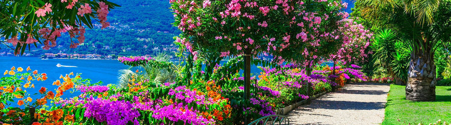 Cinque Terre and Lake Maggiore Painting Workshop with Annee Kelly