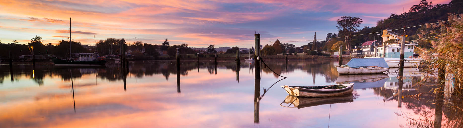 Tasmania Painting Workshop with Antoinette Blyth