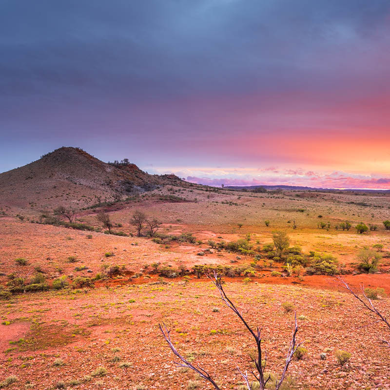 Central Australia Painting Workshop with Robyn Collier