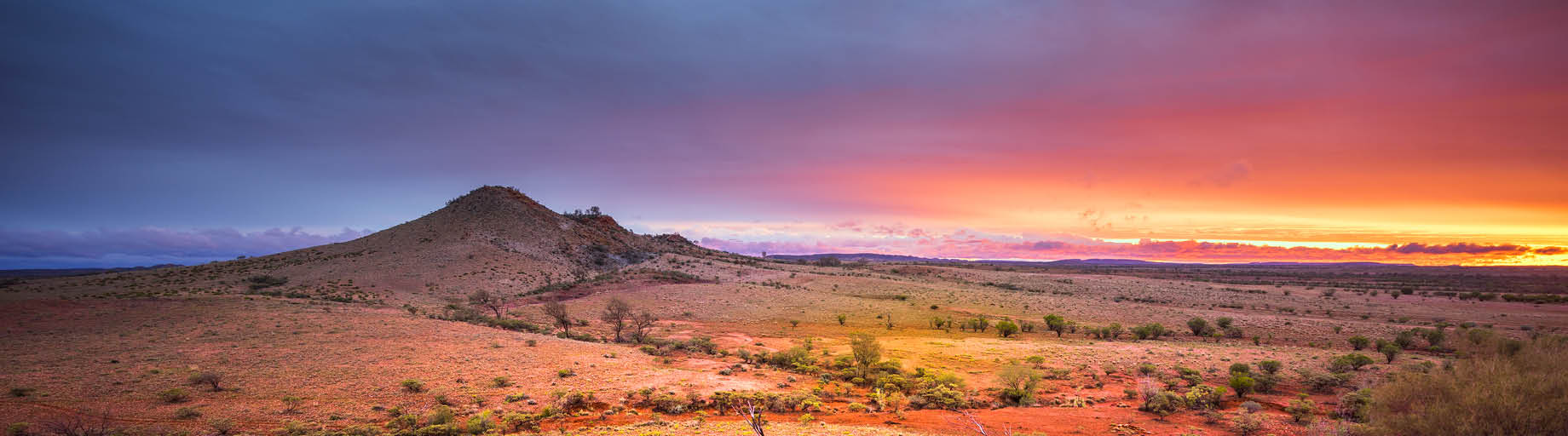 Central Australia Painting Workshop with Robyn Collier