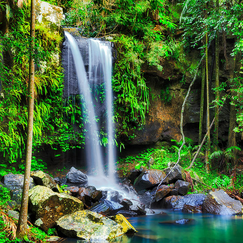 Painting in Paradise: Gold Coast & Noosa with Robyn Collier