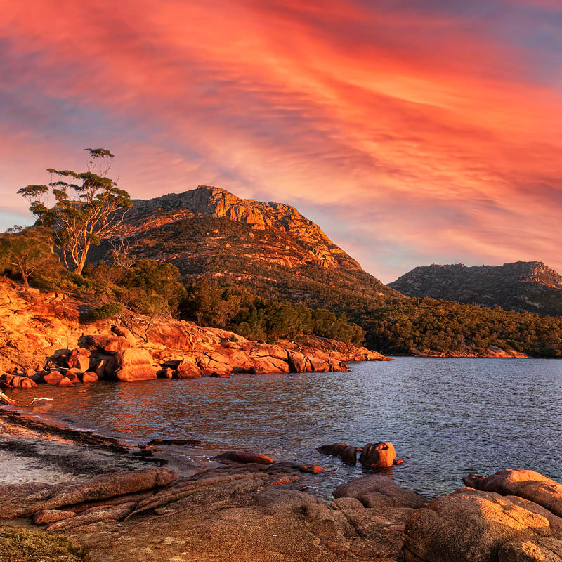 Tasmania Painting Workshop with Robyn Collier
