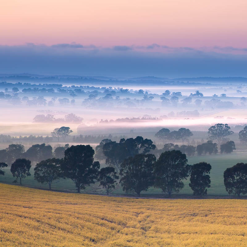 Flinders Ranges, Clare Valley and Hahndorf with David Taylor