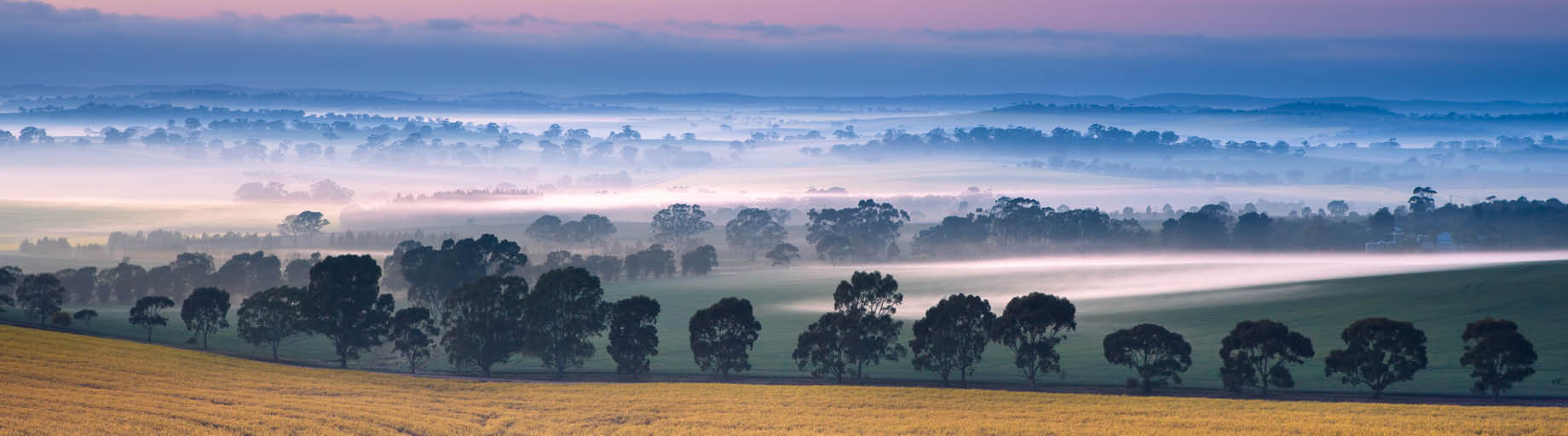 Flinders Ranges, Clare Valley and Hahndorf with David Taylor