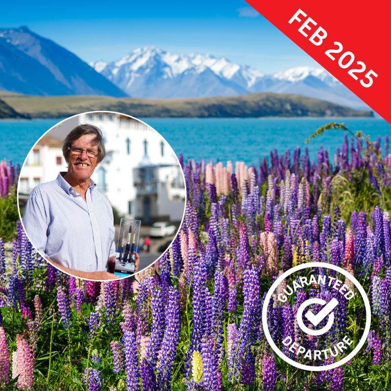 Queenstown, Lake Tekapo and Wanaka, New Zealand with David Taylor