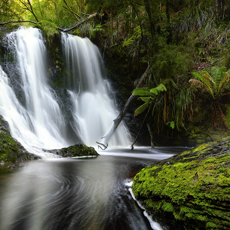 David Taylor Watercolour Workshop: Tasmania, Australia