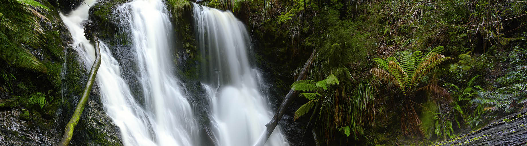 David Taylor Watercolour Workshop: Tasmania, Australia