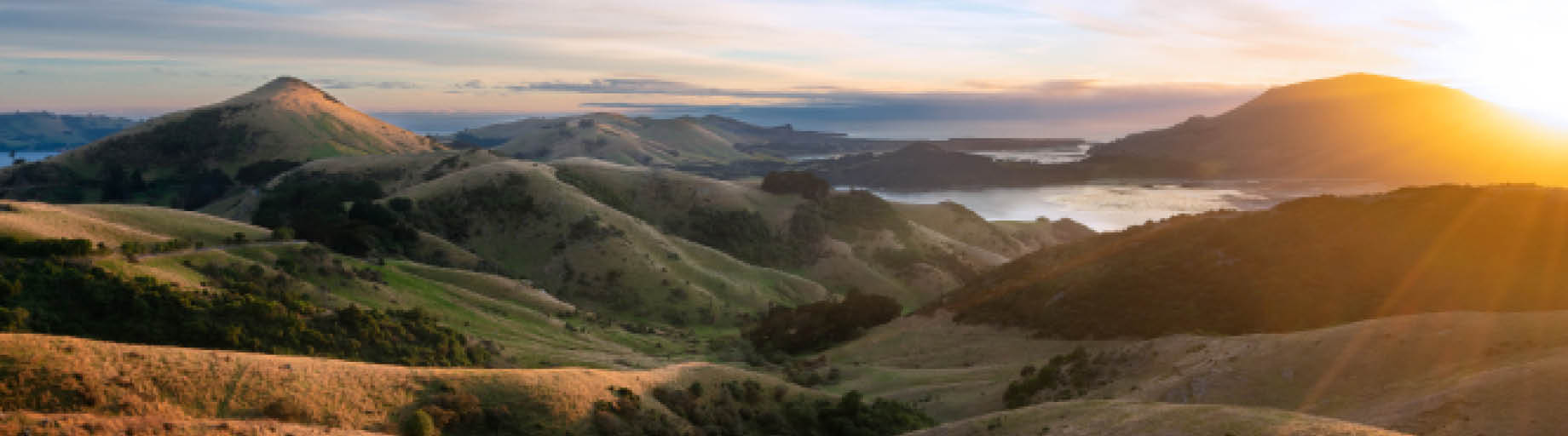 New Zealand Painting Workshop with Amanda Hyatt
