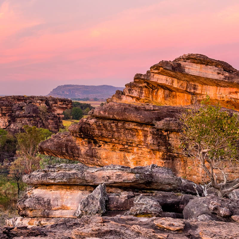 Oil Painting Workshop Australian Outback