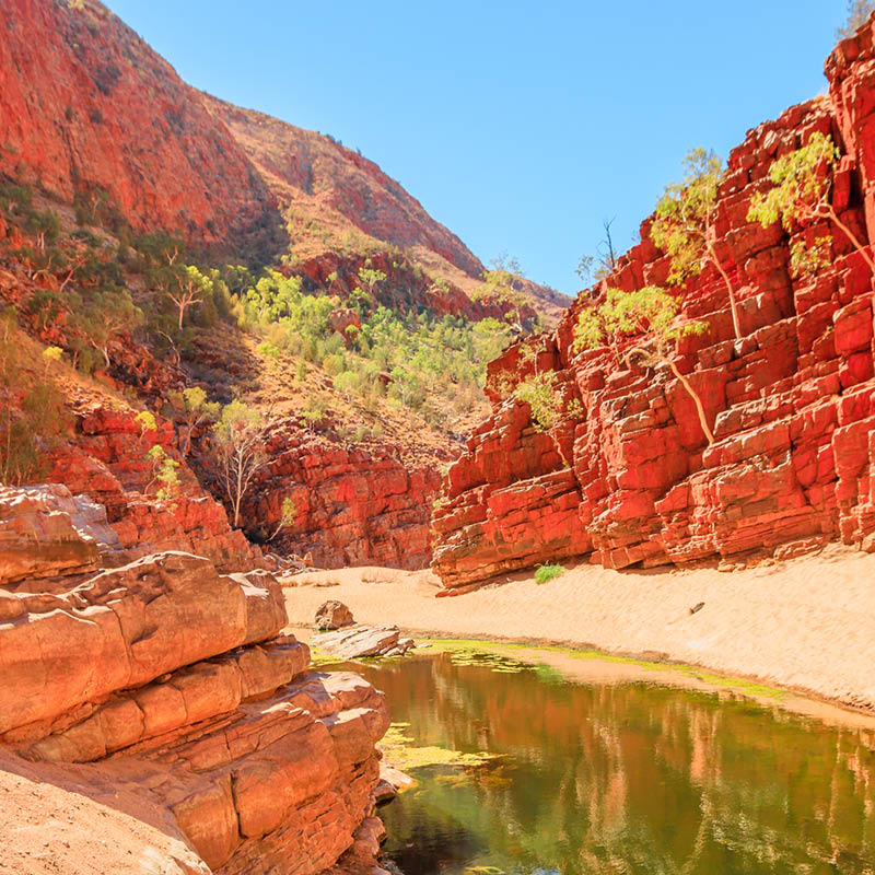 Central Australia Painting Worskhop with David Taylor