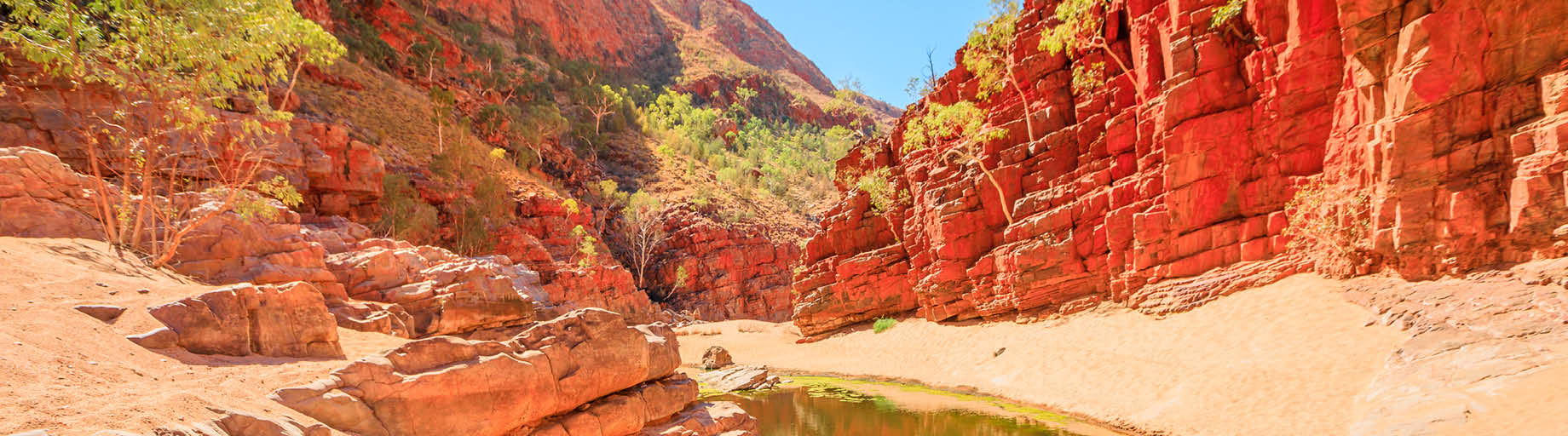 Central Australia Painting Worskhop with David Taylor