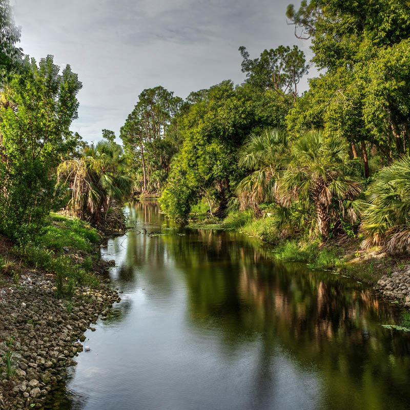 Tasmania Painting Workshop with Terry Jarvis