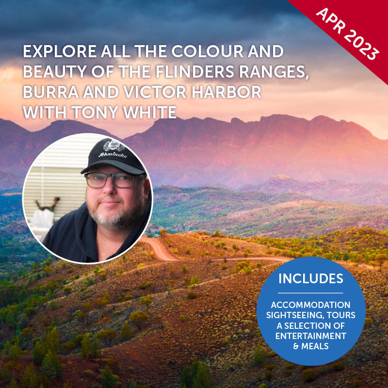 Flinders Ranges Painting Workshop with Tony White