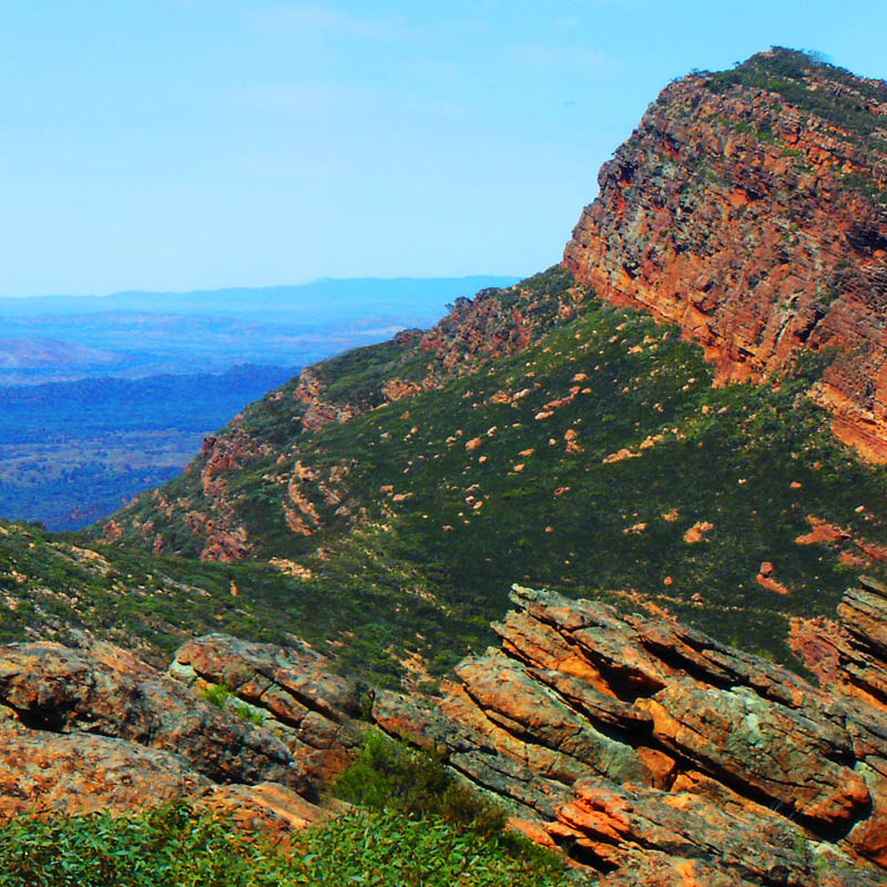 Flinders Ranges Painting Workshop with Tony White