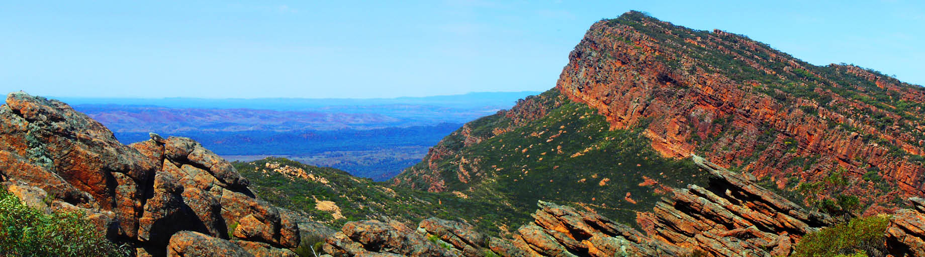 Flinders Ranges Painting Workshop with Tony White