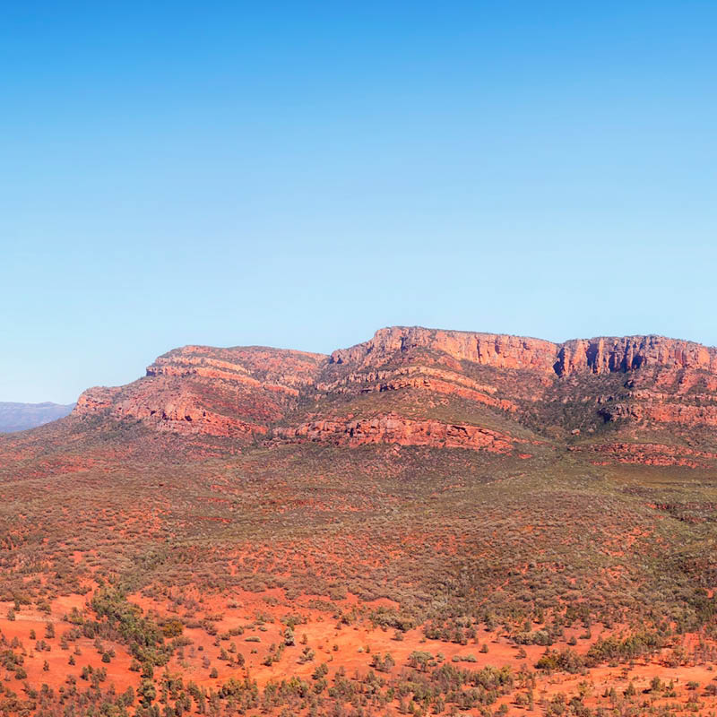 Watercolour Workshop Flinders Ranges with Vivi Palegeorge